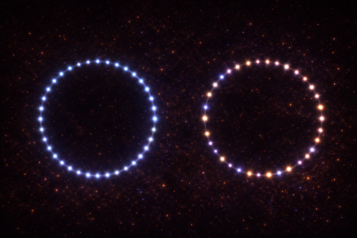 The Spectral Structure of Fractional Fields
