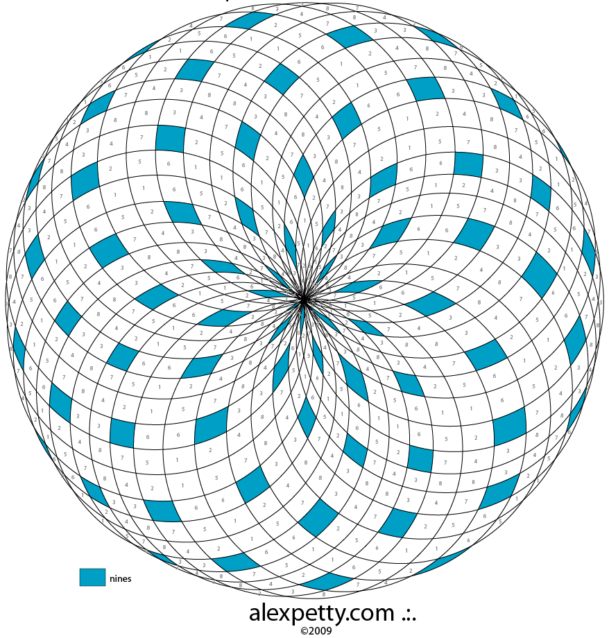 Comparison of Numeric Polarity with a Pyramid and Torus